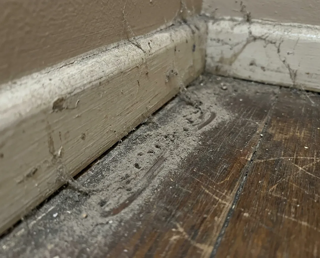 Trap set flush against a wall on an established rodent run