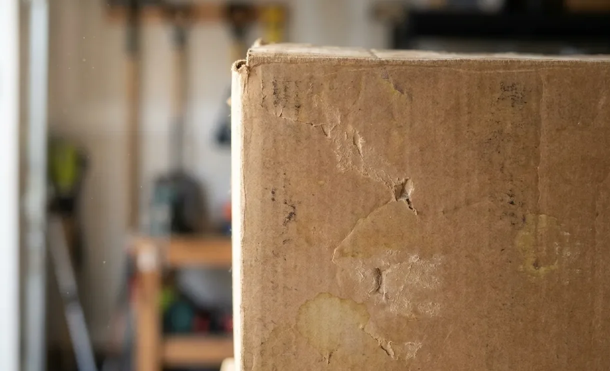 Grazed surface and yellowed staining left across a stored cardboard box by silverfish Grazed surface and yellowed staining left across a stored cardboard box by silverfish